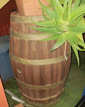 botte in rovere