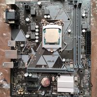 Scheda madre ASUS H310M-K R2.0 + i3-8100