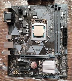 Scheda madre ASUS H310M-K R2.0 + i3-8100