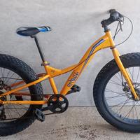 bicicletta Pitbull 24