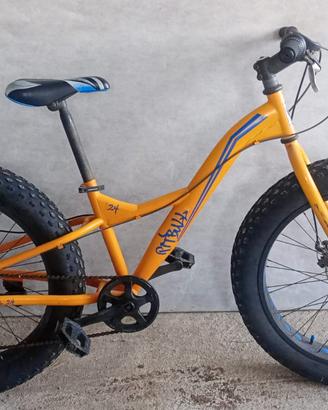 bicicletta Pitbull 24