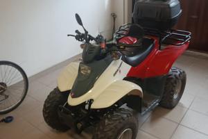 Quad suzuky dinly 50