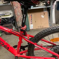 Bicicletta ragazzo bottecchia