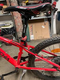 Bicicletta ragazzo bottecchia