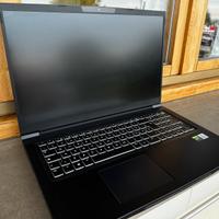 Pc portatile 17 3060 RTX i7 gaming/professionale