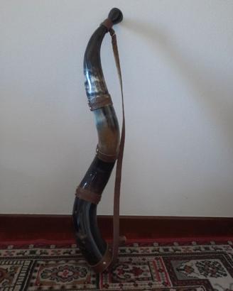 Berrante (Corno bue, Brasil)