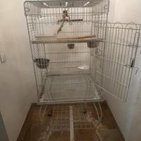 Gabbia per pappagalli