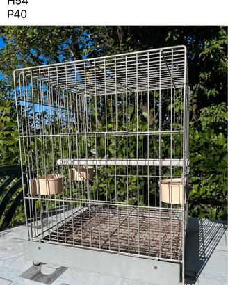 Gabbia per merlo indiano
