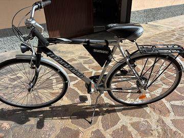 Bicicletta Montana uomo