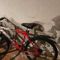 bicicletta da sistemare