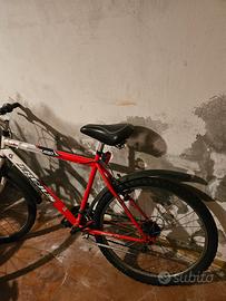 bicicletta da sistemare