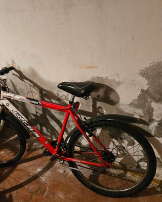 bicicletta da sistemare