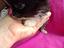 Immagine 3