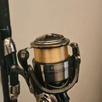 COMBO DAIWA AMORPHOUS REGULAR + CERTATE 3000