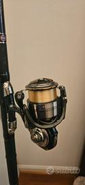 COMBO DAIWA AMORPHOUS REGULAR + CERTATE 3000