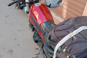 Benelli Leoncino trial 500