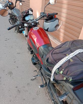 Benelli Leoncino trial 500