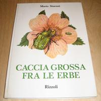 CACCIA GROSSA FRA LE ERBE STURANI RIZZOLI 1970