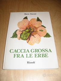 CACCIA GROSSA FRA LE ERBE STURANI RIZZOLI 1970