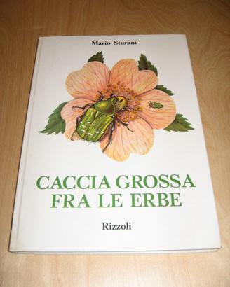 CACCIA GROSSA FRA LE ERBE STURANI RIZZOLI 1970