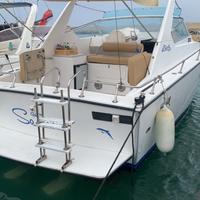 Fiart Aster31 cabinato natante diesel volvo penta