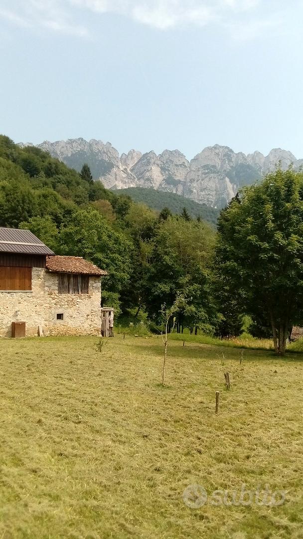 terreno agricolo fabbricabile - Altro