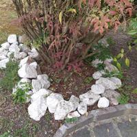 Sassi bianchi per contorno piante