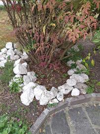 Sassi bianchi per contorno piante