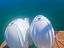 Immagine 10