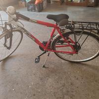 bicicletta adulto 