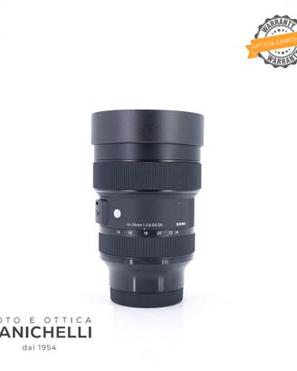 Sigma 14-24 F/2.8 DG ART (Sony) Usato (G729)