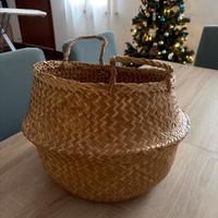 Cestino pianta erbacea