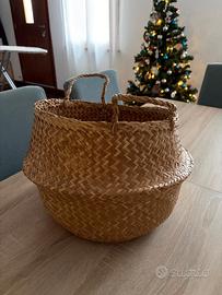 Cestino pianta erbacea