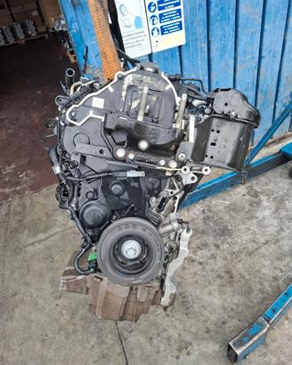 MOTORE FORD