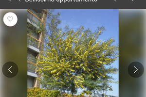 Casa zona tranquilla