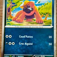 Carte pokemon