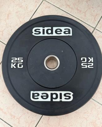 COPPIA DISCHI BUMPERS 25 KG