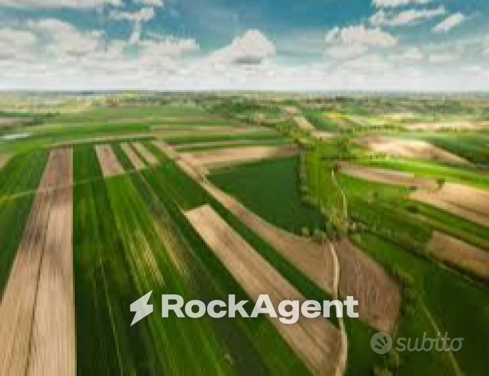 Terreno di 31284 m² a Codevigo - Vista 2