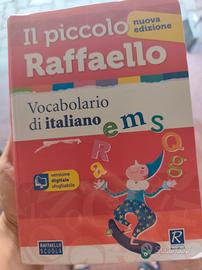 il piccolo Raffaello 