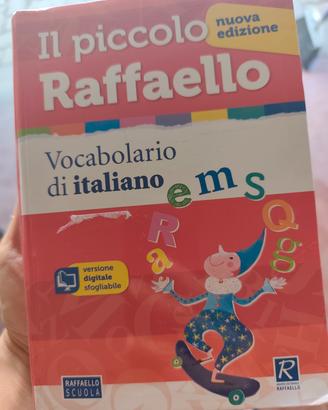 il piccolo Raffaello 