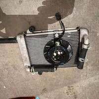 Radiatore per Honda Sh 300 sport anno 2019