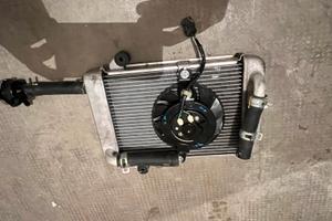 Radiatore per Honda Sh 300 sport anno 2019