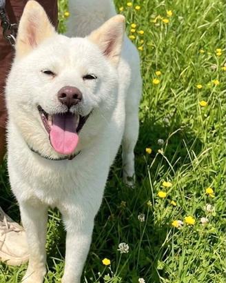 Anja 3 anni