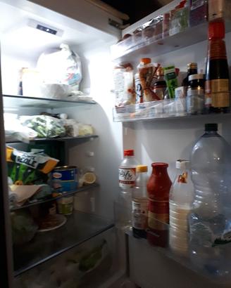 Frigo congelatore Candy da incasso 270 litri