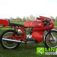 MV AGUSTA Altro 350 Sport Bicilindrica con caren