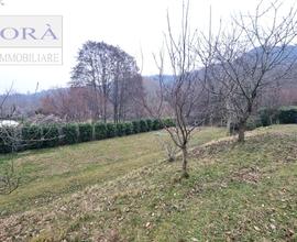 Teolo Castelnuovo, Terreno agricolo 9800 mq con An