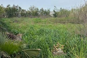 Terreno di 2600 m² a Giugliano in Campania