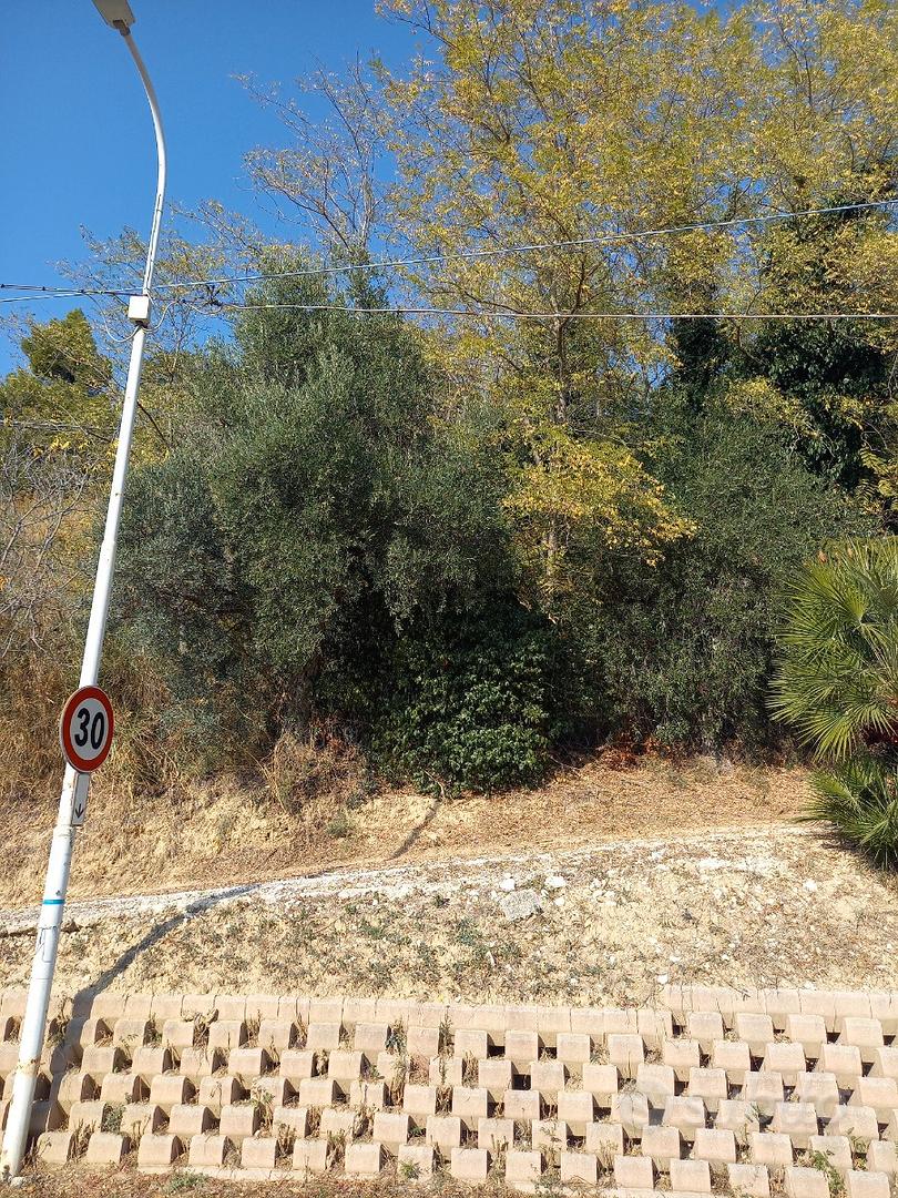 Terreno agricolo confine tra Pescara e S.G.Teatino - Vista 6