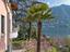 Immagine 15