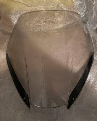 Cupolino per Triumph Tiger 1050